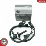 06SKV490