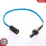 09SKV001