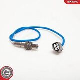 09SKV008