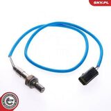 09SKV013