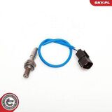 09SKV024