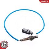 09SKV029