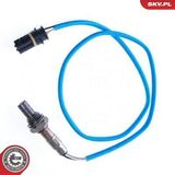 09SKV031