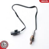 09SKV091