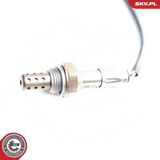 09SKV096