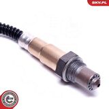 09SKV119