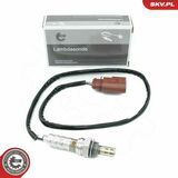09SKV133