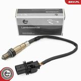 09SKV203