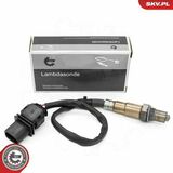 09SKV208