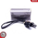 09SKV418