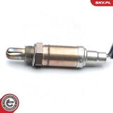 09SKV542