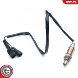09SKV547