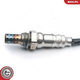 09SKV556