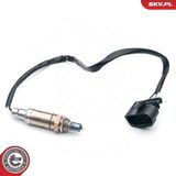 09SKV606