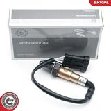 09SKV618