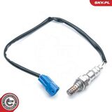 09SKV622