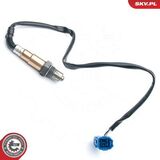 09SKV623