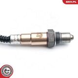 09SKV646