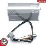 09SKV654