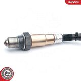 09SKV749