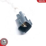 09SKV993