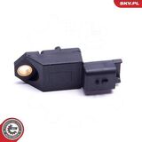 17SKV139