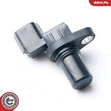 17SKV243