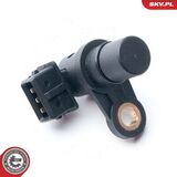 17SKV249