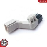17SKV272