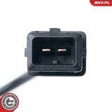 17SKV303