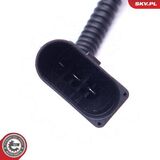 17SKV484