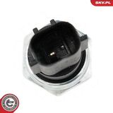 17SKV838