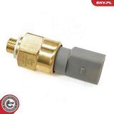 17SKV974