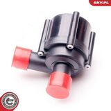 22SKV019