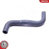 24SKV368
