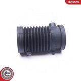 24SKV436