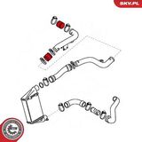 24SKV689