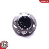 29SKV410