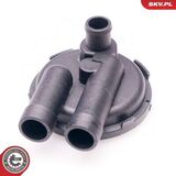 31SKV011
