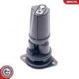 31SKV018