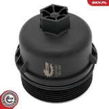 31SKV261
