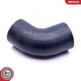 43SKV198