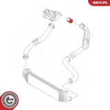 43SKV467