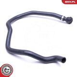43SKV832