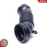 54SKV184