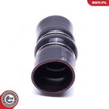 54SKV231