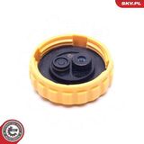 61SKV020