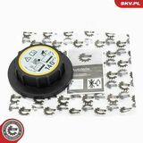 61SKV038