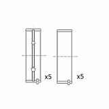 BM1001-STD