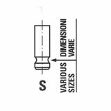 R6698/SNT